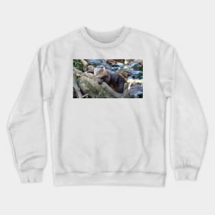 Northern River Otter Crewneck Sweatshirt